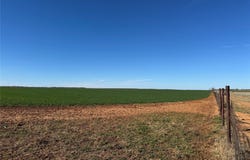 FM 422, Seymour, TX 76380