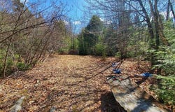 0 Howland (Rte 155) Road, Lagrange, ME 04453