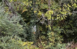 4810 Delashmitt Road, Hixson, TN 37343