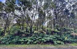10TH ST, Volcano, HI 96785
