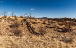 E Path, Cotopaxi, CO 81223