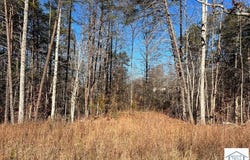 Barrett Rd lot: 10, Hardy, VA 24101