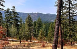 Moose Mtn lot: 1A, Priest River, ID 83856