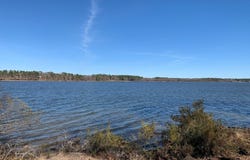 3266 Shadow Pine Drive, Larue, TX 75770