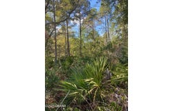 820 OLD BUBBLY Road, PIERSON, FL 32180