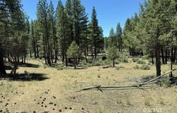 15651 Marcee Way, Chiloquin, OR 97624