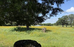 14 COUNTY ROAD 273, BREMOND, TX 76629