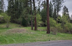 Clearwater Rd, Stites, ID 83552