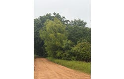 46 MURRAY, Proctor, AR 72376