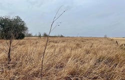 08 County Road 319, Edna, TX 77957