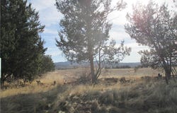 Highway 371, Anza, CA 92539