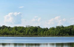 N Drive S, Burlington, MI 49029