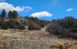 47 White Cloud Dr, Cotopaxi, CO 81223