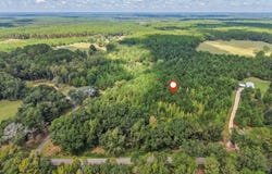 Purvis To Baxterville, Purvis, MS 39475