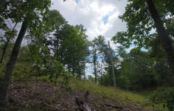 Shay Ridge Road, Wingett Run, OH 45789
