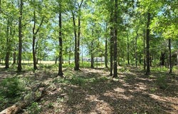 800 Grady Garner Rd (4.9 acres), Slocomb, AL 36375