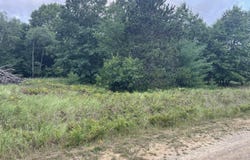 6367 N Dune Grass Trail, Hart, MI 49420