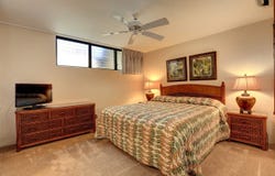 3543 Lower Honoapiilani Rd, Lahaina, HI 96761