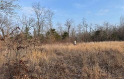 Arnhart Street, Ash Flat, AR 72513