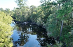 Hwy 301, Nahunta, GA 31533