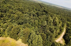 2 CR 449, Pollard, AR 72456