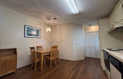 3303 Windjammer Drive, Spring Hill, FL 34607