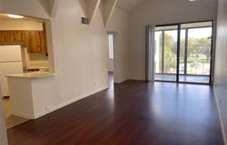 212 Lake Pointe Drive, Oakland Park, FL 33309
