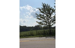 Capac Road, Armada Twp, MI 48005
