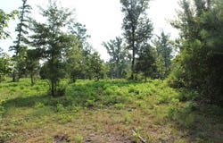 Germantown Road, Minden, LA 71055