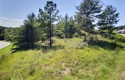 Splendors Gate Rd, Axton, VA 24054