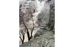 22244 Crystal Falls Dr W, Sonora, CA 95370