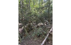 SC-86 Highway, Piedmont, SC 29673-8912