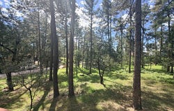 102 Juniper Rd, Ruidoso, NM 88355