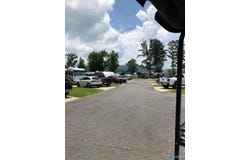 10174 County Road 67, Langston, AL 35755