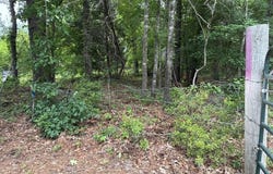 2096 MC 157, Doddridge, AR 71834