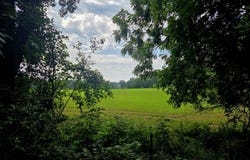 Crispell Road, Clarklake, MI 49234