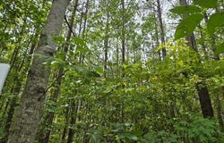 691 Miller Camp Road, Buckingham, VA 23921