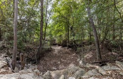 581 Eden Rd, Seguin, TX 78155