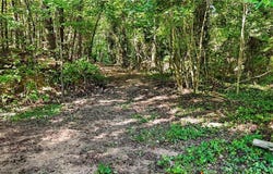 Pinehaven Drive, New London, NC 28127