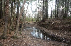 8284 Hwy 28, MIZE, MS 39111
