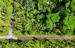 FOREST RD, Pahoa, HI 96778