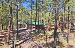 484 Lilly Drive, Lakeside, AZ 85929