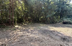 1547c Pine Valley Drive, Elgin, SC 29045