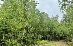 Lot 4 Mt. Jefferson Heights, Lee, ME 04455