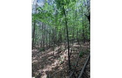 280 Sparks Lane, Pickens, SC 29671