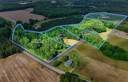 10309 Basmati Trail, Zebulon, NC 27597