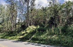 ROAD 8 (MOHO), Mountain View, HI 96760