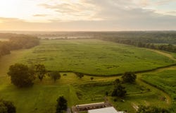 5492 Cedar Lane, Reeds, MO 64859