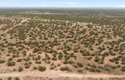 4189 Sorrel Road, Snowflake, AZ 85937