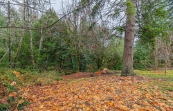 E 15th St, Coquille, OR 97423